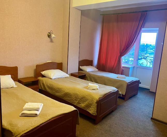 Golden Lion Hotel ボルィースピリ エクステリア 写真