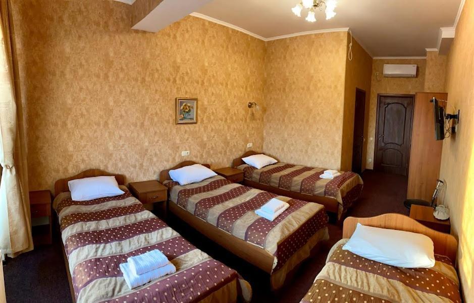 Golden Lion Hotel ボルィースピリ エクステリア 写真