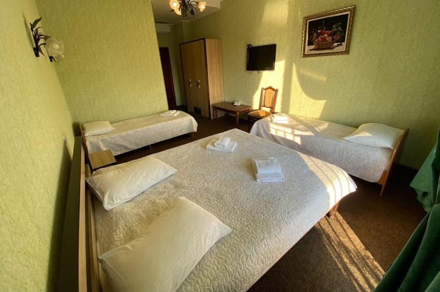 Golden Lion Hotel ボルィースピリ エクステリア 写真