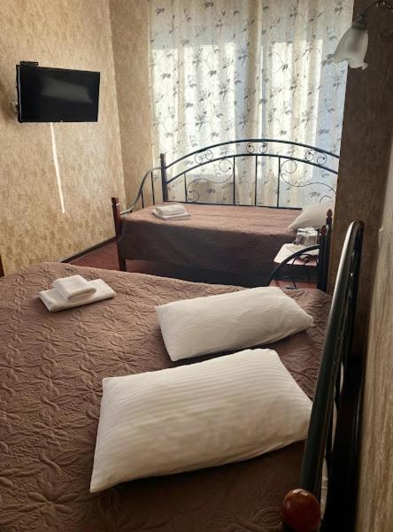 Golden Lion Hotel ボルィースピリ エクステリア 写真