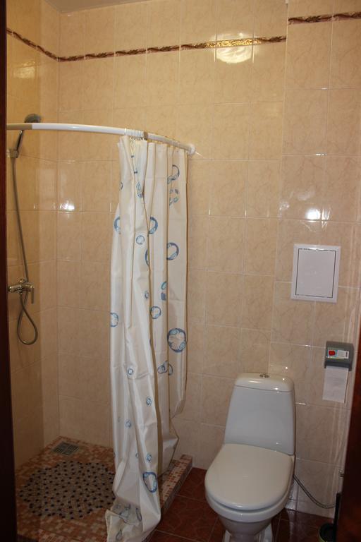 Golden Lion Hotel ボルィースピリ 部屋 写真